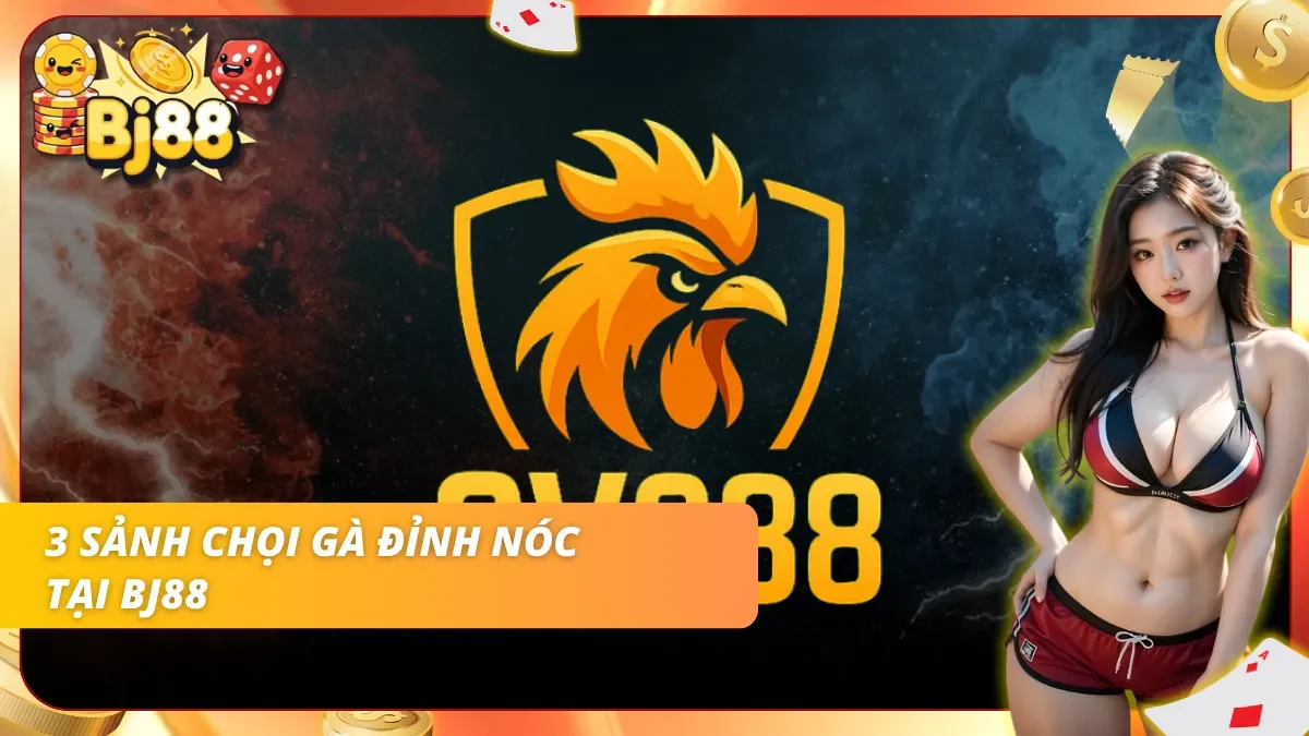 Các sảnh nổi bật thường có chất lượng trải nghiệm ổn định