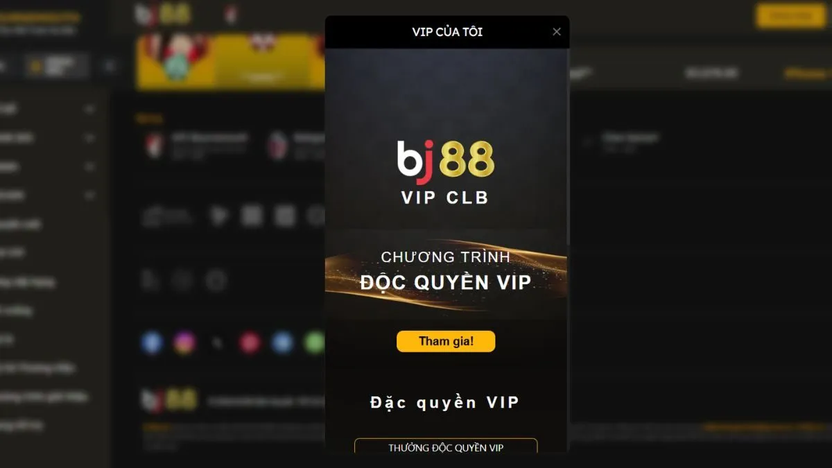 vip-bj88
